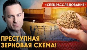 Кто скупает краденое украинское зерно? Все детали. Журналистское расследование