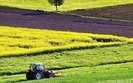 Міноборони і Держгеокадастр створили спільну робочу групу для інвентаризації земель оборони