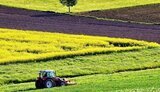 Rada adopts law on farmland market opening in Ukraine from July 1, 2021