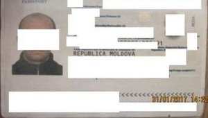 интерпол