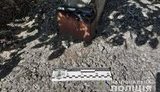 Вибуховий пристрій знешкоджено біля газопроводу на Луганщині, - Нацполіція. ФОТО