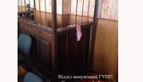 тернопольщина хулиганство