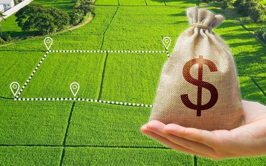 Земля в Україні подорожчала у березні на 10%: де найбільші ціни?. ІНФОГРАФІКА