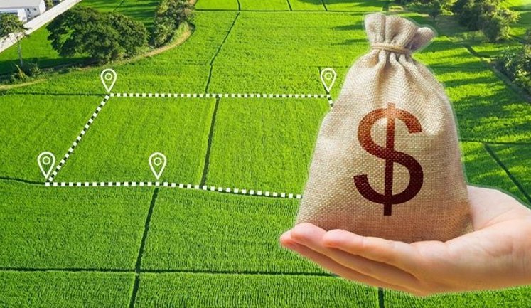 Земля в Україні подорожчала у березні на 10%: де найбільші ціни?. ІНФОГРАФІКА