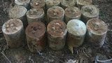 Мешканців і гостей Києва просять не гуляти на Лисій горі: знайдено багато боєприпасів. ФОТОрепортаж