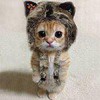 Алекс Изнигредо