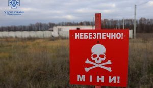 На Херсонщині чоловік підірвався на вибухівці під час випасу худоби, - ОВА