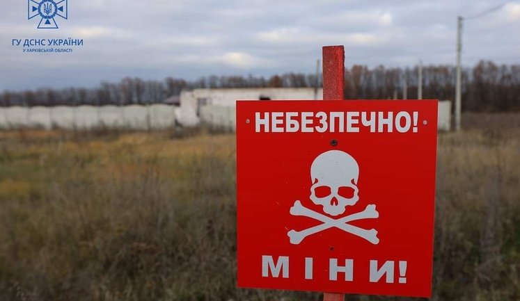 На Херсонщині чоловік підірвався на вибухівці під час випасу худоби, - ОВА