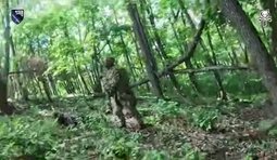 наліт ссо на ворога