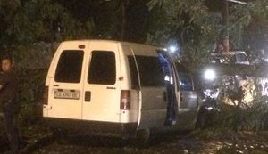Буря в Черновцах поломала деревья и повредила машины. ФОТОрепортаж