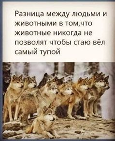 Вагнергейт – терниста дорога Зеленського і Єрмака до тюрми 12