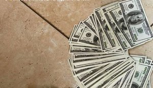Депутата ОТГ на Закарпатті затримано на одержанні $ 3 тис. хабаря, - Нацполіція. ФОТО