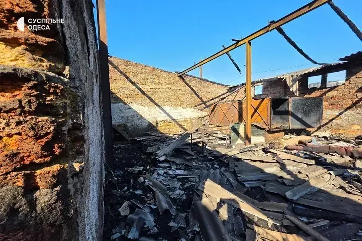 As a result of the Russian attack in the Odesa region, the ‘Loving Hearts’ animal shelter was burnt down, with 13 animals killed