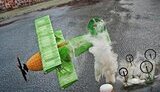 Flugtag 2010: над Русановским каналом летали телевизоры, рояли и пингвины. 1-е место заняла &amp;quot;Кузькина мать&amp;quot;. ФОТОрепортаж.