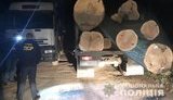 Нацполиция завершила досудебное расследование дела "черных лесорубов" на Львовщине. ФОТОрепортаж