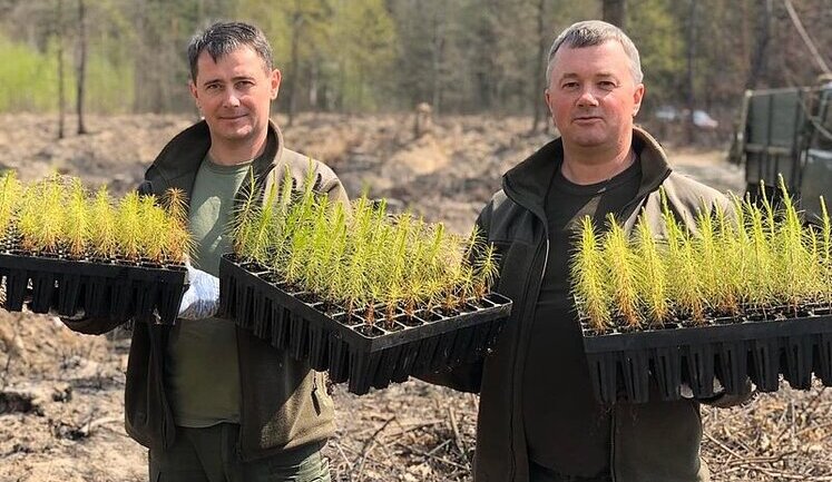 Держлісагентство відзвітувало про перевиконання плану Зеленського про висадку мільярда дерев