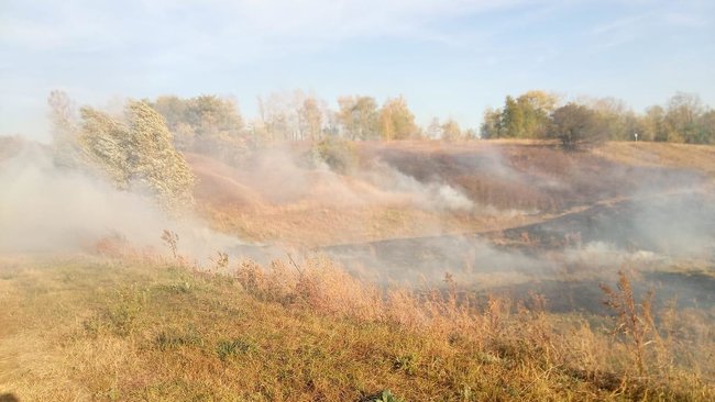Дві пожежі, які перекинулися з РФ, загасили на Харківщині, - ДПСУ 02