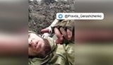 чеченці,кадиров.