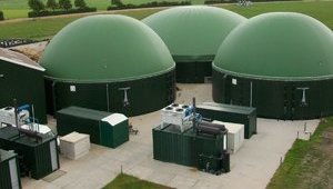 Кому принадлежат крупнейшие биогазовые компании в Украине