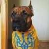 Вал Ил