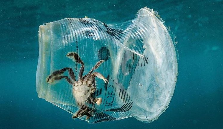 В ООН заявили про критичне забруднення водойм світу пластиком