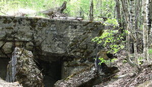 фінляндія,лінія,маннергейма