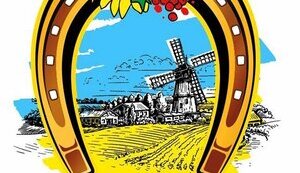 Як знищити волонтерство: що не так зі справою БФ “Аджалик”