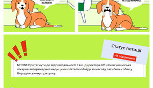 Про наболіле, або "День бабака повторюється"