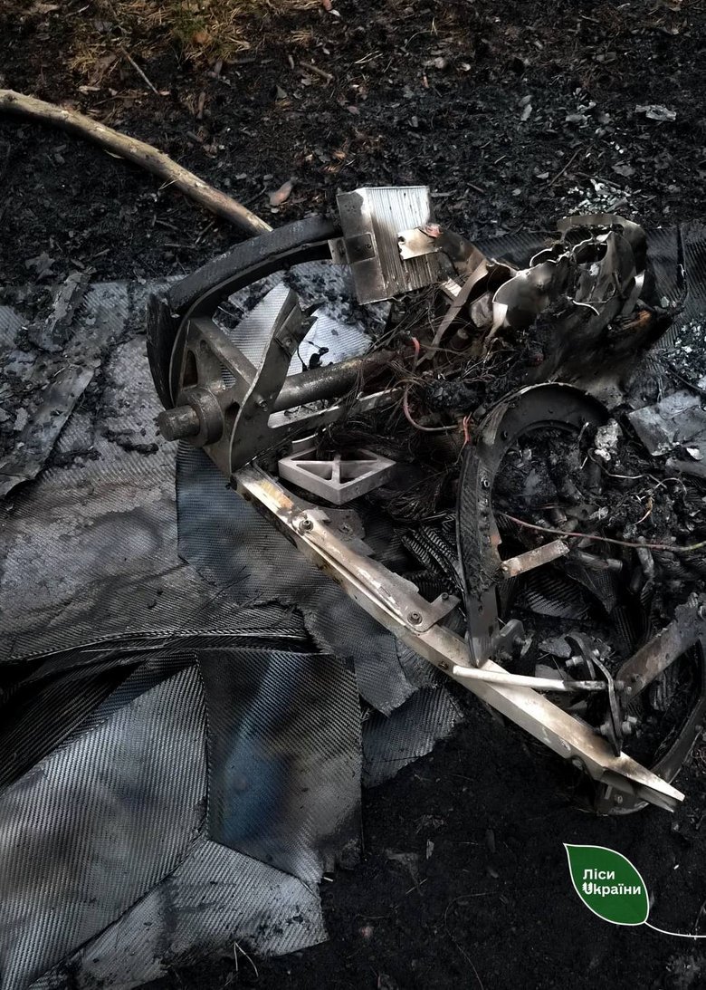 Російські БПЛА, КАБи та FPV-дрони спричинили пожежі на 42 га лісів України