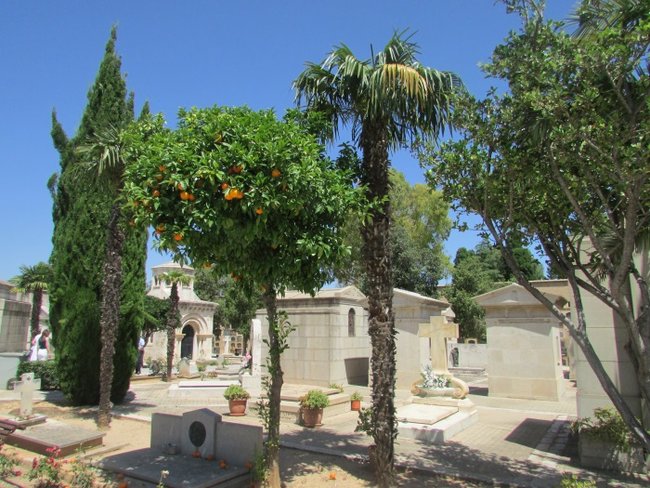 Цензор.НЕТ Изображение