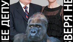 Регионалка Бондаренко: почему кто-то считает себя умнее депутата?