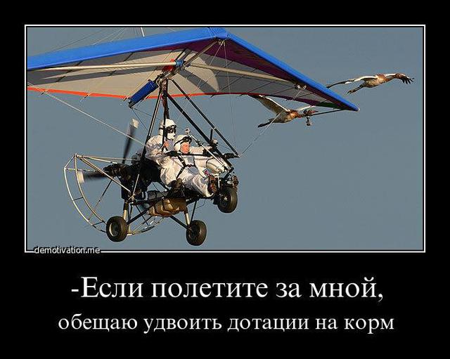 Цензор.НЕТ Изображение