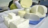 Молочники говорят, что сыр в Украине подешевел на 20%
