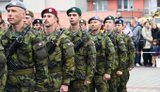 Бабиш исключил участие чешских военных в миссии в Украине после перемирия