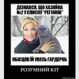 Правильный кот