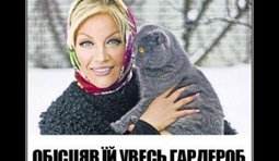 Правильный кот