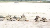 Змагання снайперів відбуваються на Чернігівщині, - ОК "Північ". ФОТОрепортаж
