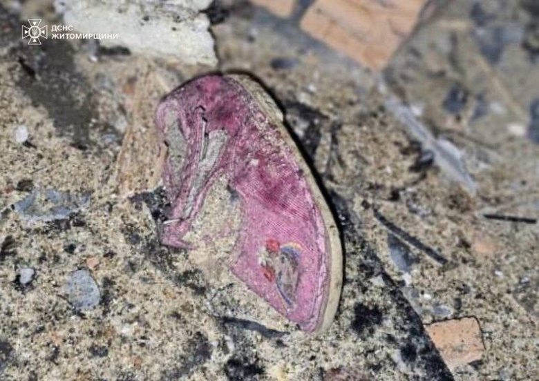 Zhytomyr region after shelling