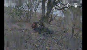 Український дрон ударив по окупанту, який "справляв потребу" в лісосмузі. ВIДЕО 18+