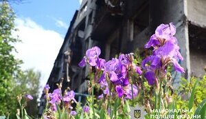 Понад 1400 мешканців залишаються у Покровську, немає жодного району, який не був би пошкоджений або зруйнований, - керівник МВА Добряк