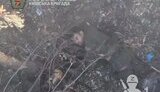 ліквідація окупантів