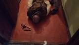 У Києві чоловік забарикадувався в квартирі з чотирма дітьми і погрожував зброєю. Під час штурму дітей звільнили, зловмисника затримали, - Крищенко. ФОТОрепортаж