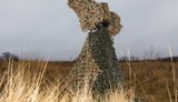 Комплекс "Ай-Петрі" дає змогу вивести протидію ворожим БпЛА на новий рівень, - "Мілітарний"