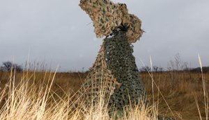 Ай-Петрі