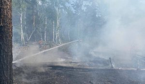 Після удару дронів у Чорнобильській зоні виникли нові пожежі. ФОТОрепортаж