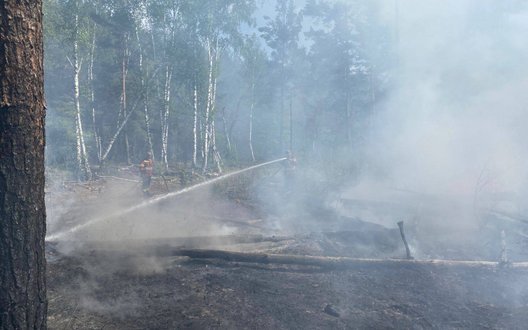 Після удару дронів у Чорнобильській зоні виникли нові пожежі. ФОТОрепортаж
