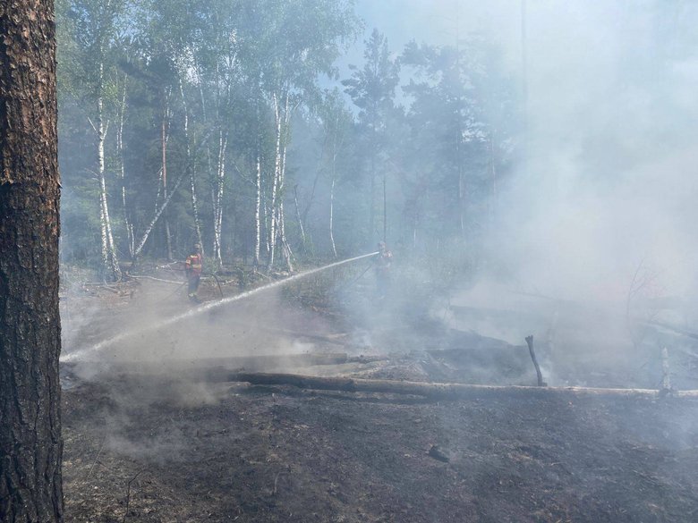 Пожежа у Чорнобильській зоні після атаки РФ 14 травня
