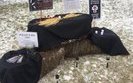 голодомор канада выставка