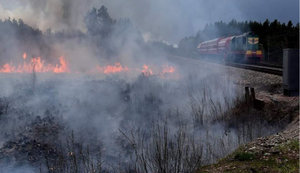 Гасіння пожеж у Житомирській і Київській областях триває: залучено 1 322 людини і 292 одиниці техніки