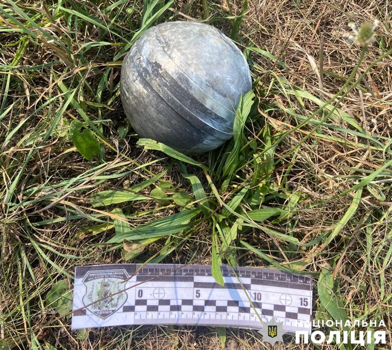 На Житомирщині після атаки РФ виявили та знищили понад десяток ворожих касетних боєприпасів